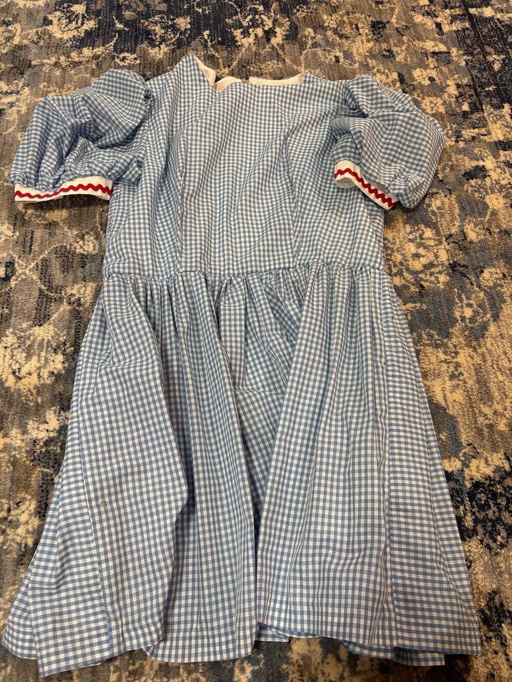Vintage Blue Gingham Dorothy/Snow White costume dress
